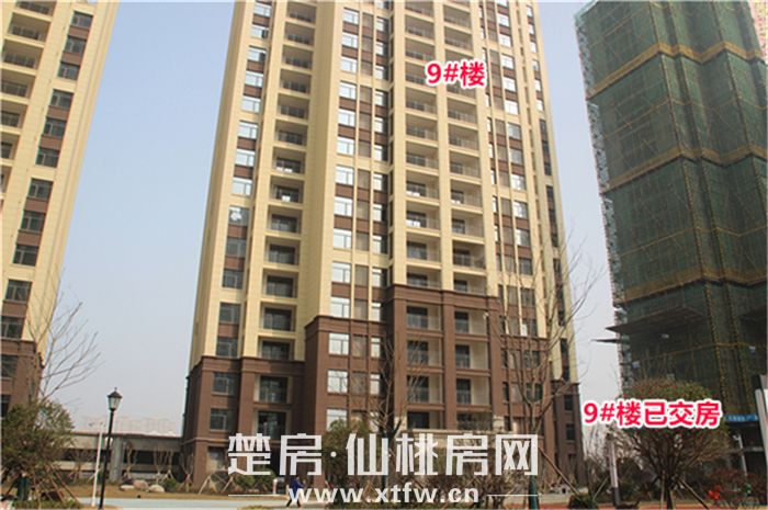 2020011417321749300qqgzbe.jpg 4.jpg