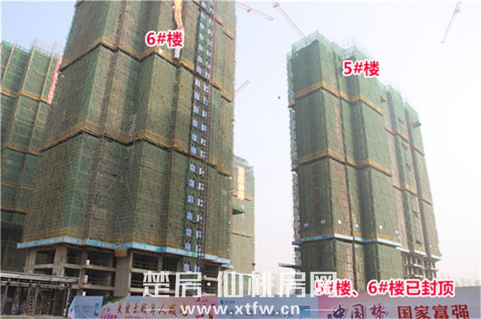 2020011417332691957ggdswh.jpg 6.jpg