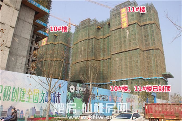 2020011417335788941h3mxqx.jpg 7.jpg