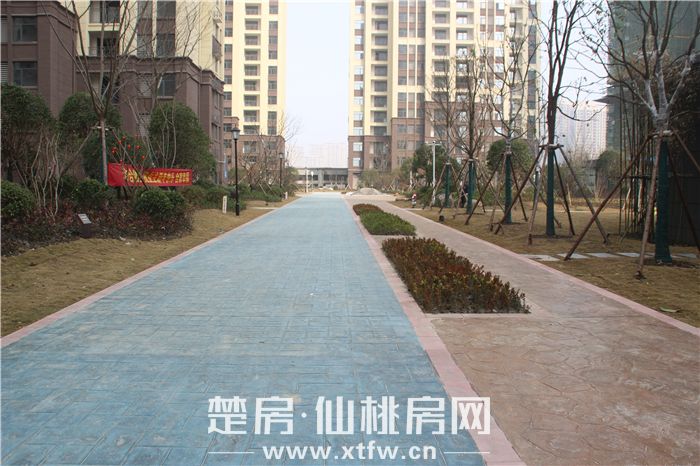 2020011417345997804ybqj18.jpg IMG_6984.jpg