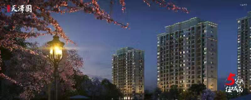 5字开头纵享城南双中芯花园品质大宅