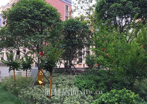 城西时代天骄现房现房空气盛好择优为邻看房方便