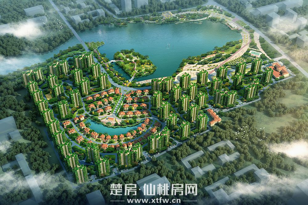 鸟瞰图