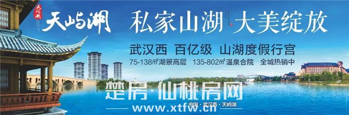 2020043018484418667zapl31.jpg A1.jpg