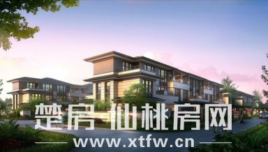 2020043018543577296xh3gj2.jpg A7.jpg