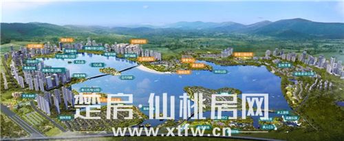 2020043018551263882z7mxoh.jpg A8.jpg