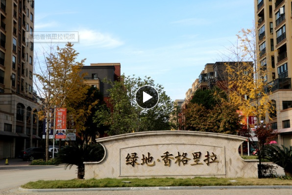 绿地香格里拉小洋楼6层送顶层