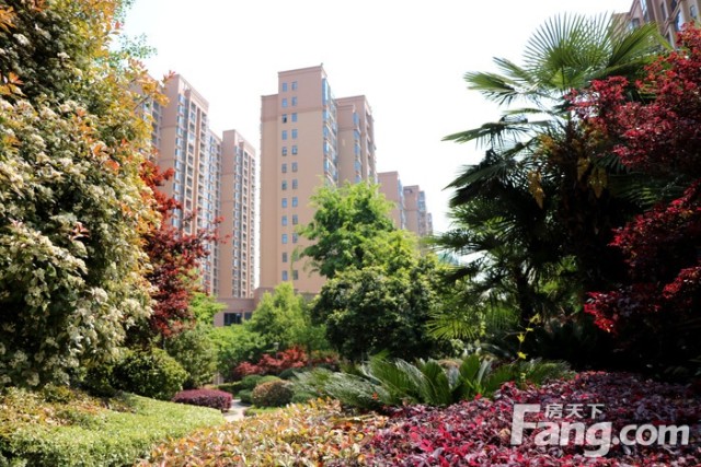 碧水蓝天42万方实景美宅，惊喜价4？？？---4800元/平封顶