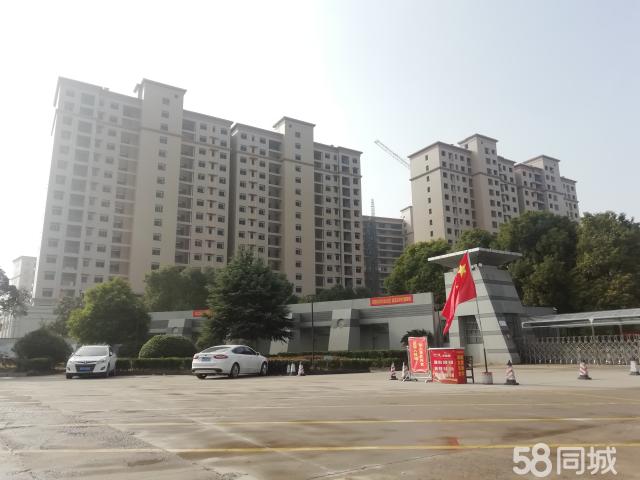 八中旁边商铺50平买一层得两层 即 