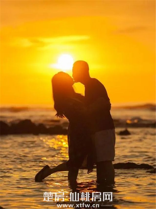 2020051514102048704x6az9k.jpg 4.jpg