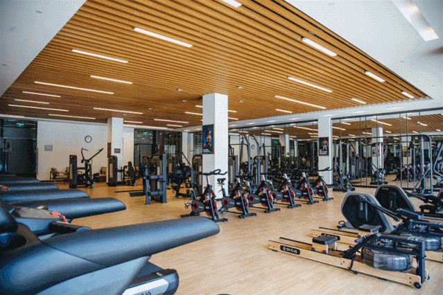 202005151418411047519tjp8.gif 15.gif