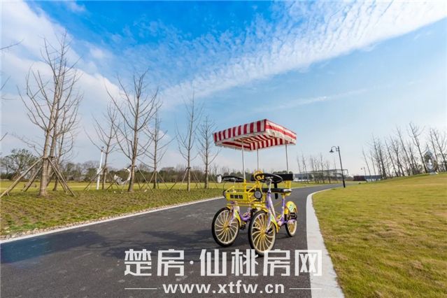 2020051514192129202d37zmm.jpg 16.jpg