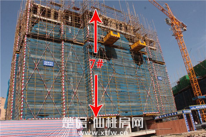 2020051910454482053dvkbny.jpg IMG_0491.jpg