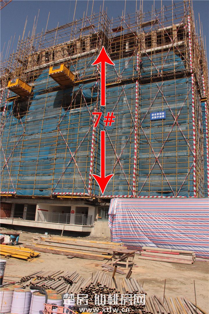 20200519104621418439p4muy.jpg IMG_0492.jpg