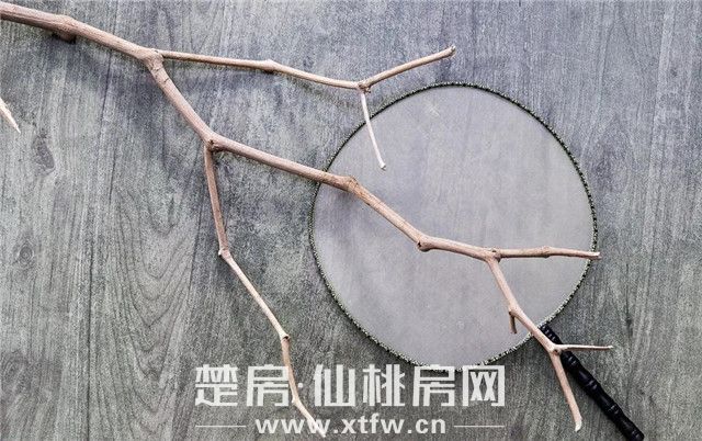 20200521172325424908r8xuy.jpg 2.jpg