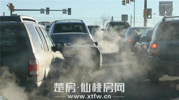 2020052809282392186ejojak.jpg 3.jpg