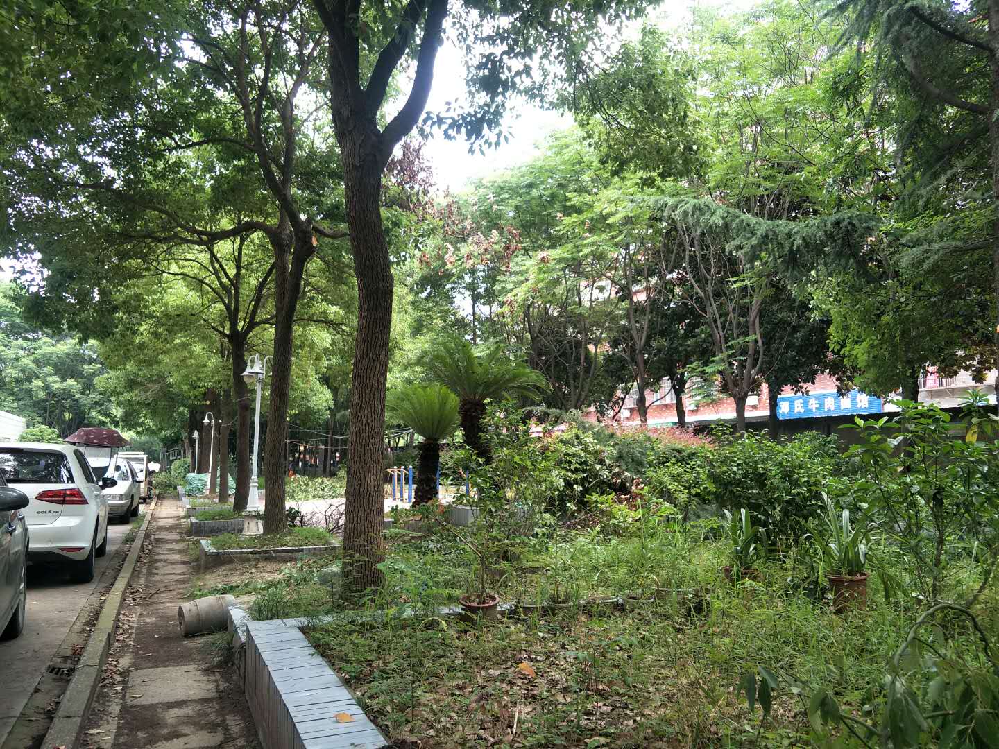 沔中附近教科院复式四房送12平地下室小区有门卫