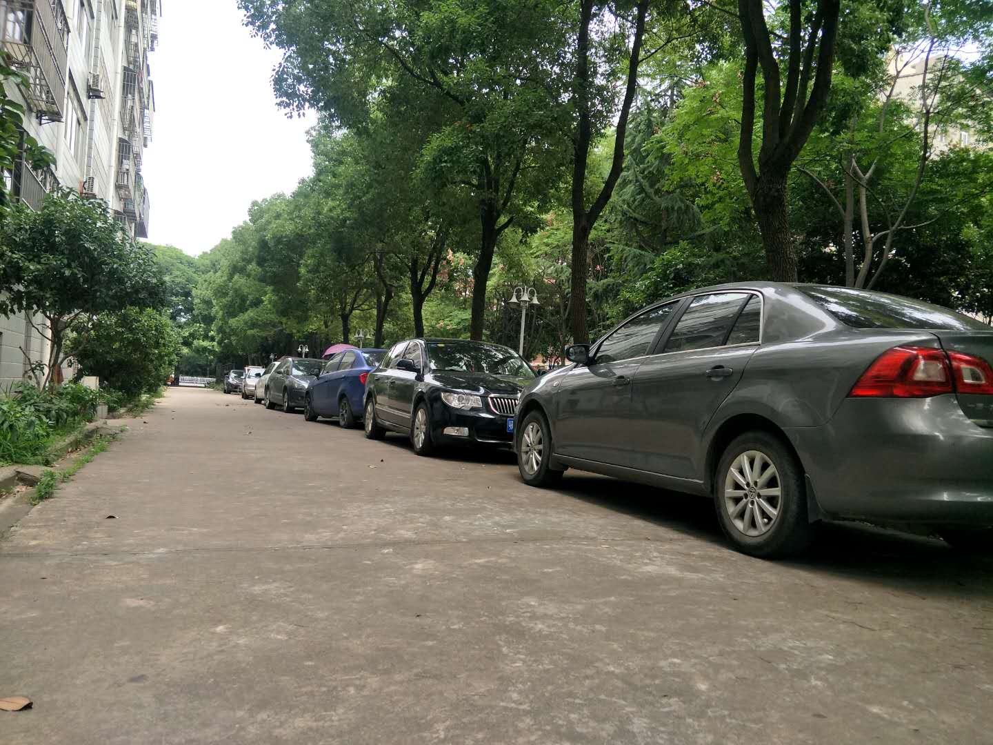 沔中附近教科院复式四房送12平地下室小区有门卫