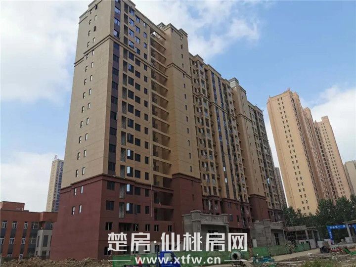 2020060809323534513beeuhn.jpg 3.jpg