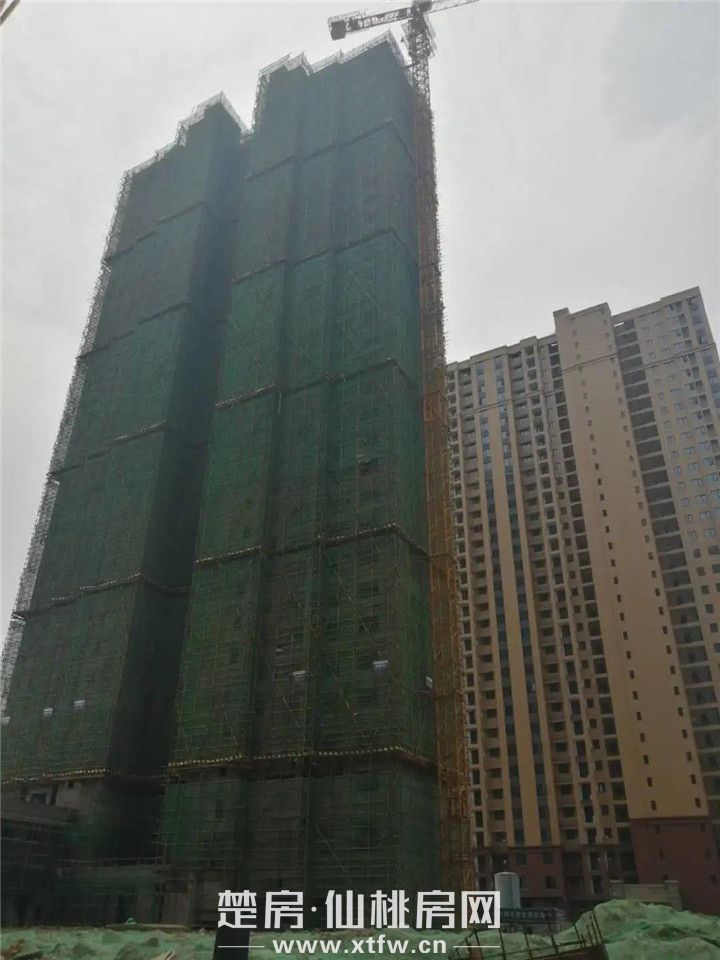 2020060809332179754snzdnm.jpg 6.jpg