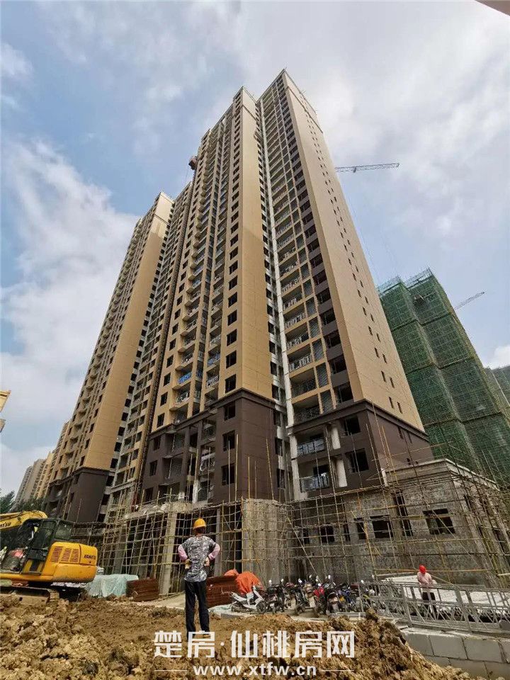 2020060809333611747rhc6if.jpg 7.jpg