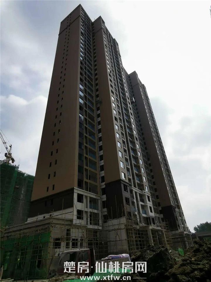 2020060809334317455o3tojv.jpg 8.jpg