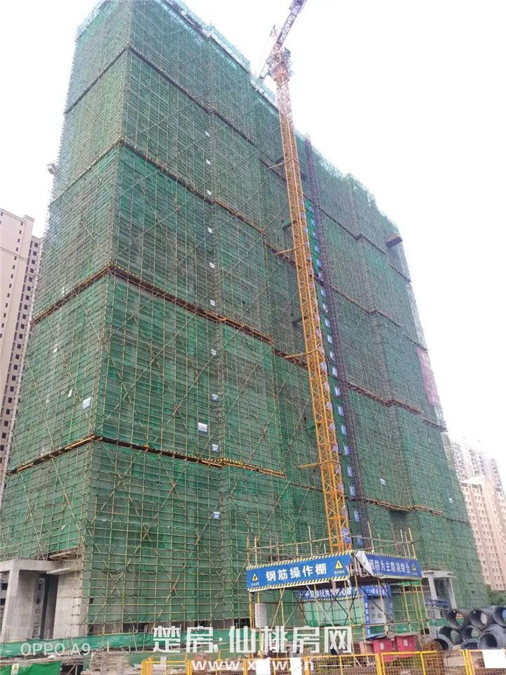 2020060809335087582mjfc2y.jpg 9.jpg