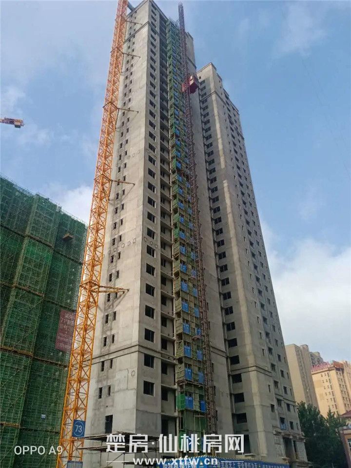 2020060809342695538gwfpz7.jpg 10.jpg