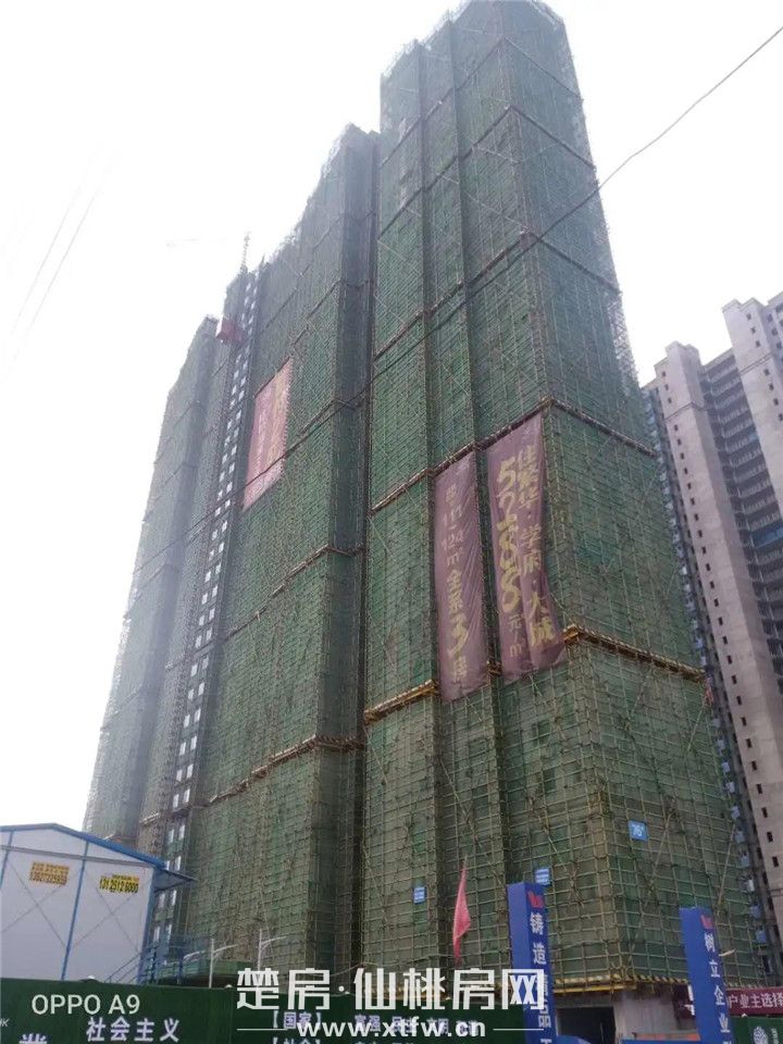 2020060809343241511aszxgy.jpg 11.jpg