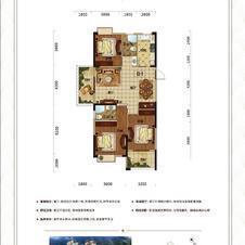 老城区康湾熙岸电梯准现房2房到四房可选地段好五校在旁三个菜场瞎好方便3成 付