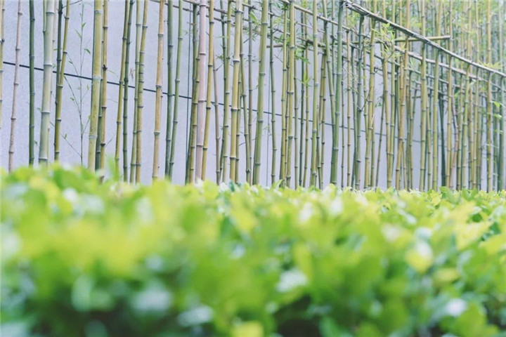 仙桃城市规划图出炉！风和日丽喜提区域利好！