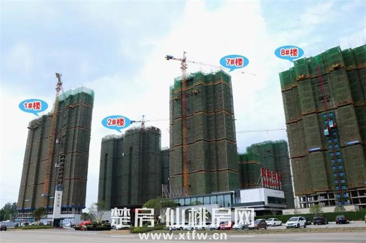 2020061217483621557vek8wp.jpg 1.jpg