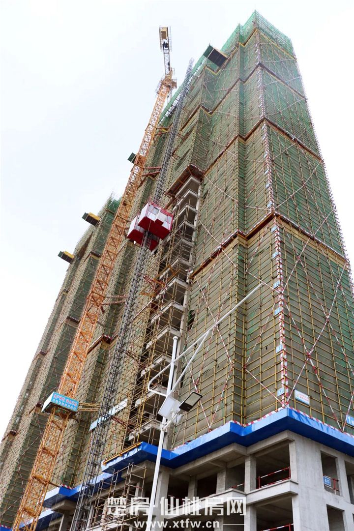 2020061217492675648ivn4jr.jpg 2.jpg