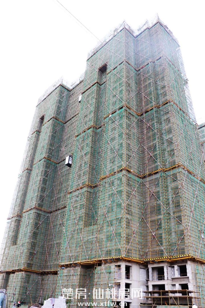 2020061217500453679j4d8vj.jpg 3.jpg