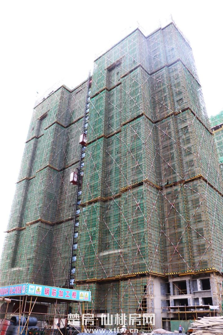 20200612175022590877tu1ah.jpg 4.jpg