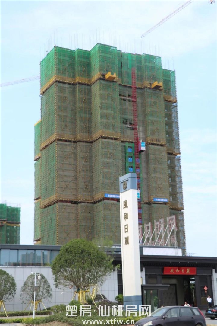 2020061217554294975yx2tmq.jpg 7.jpg