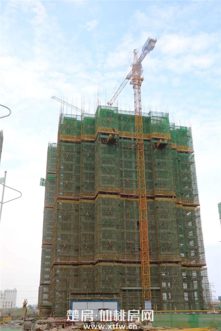 2020061217555762289anxzbi.jpg 8.jpg