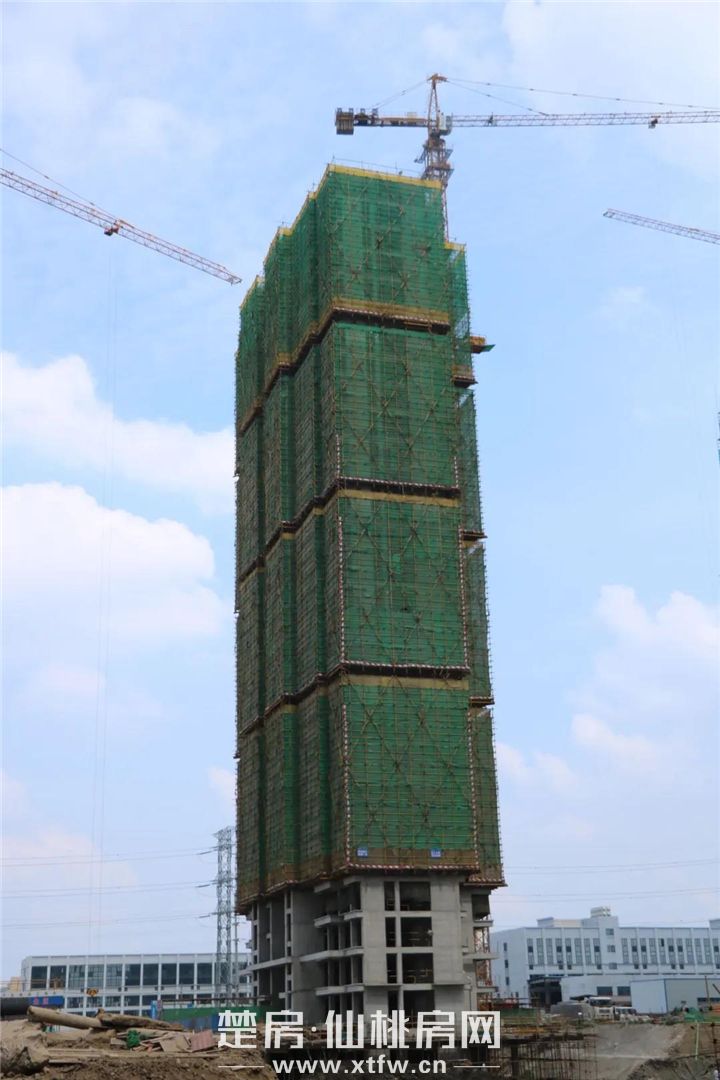 2020061217560517696sqszlr.jpg 9.jpg