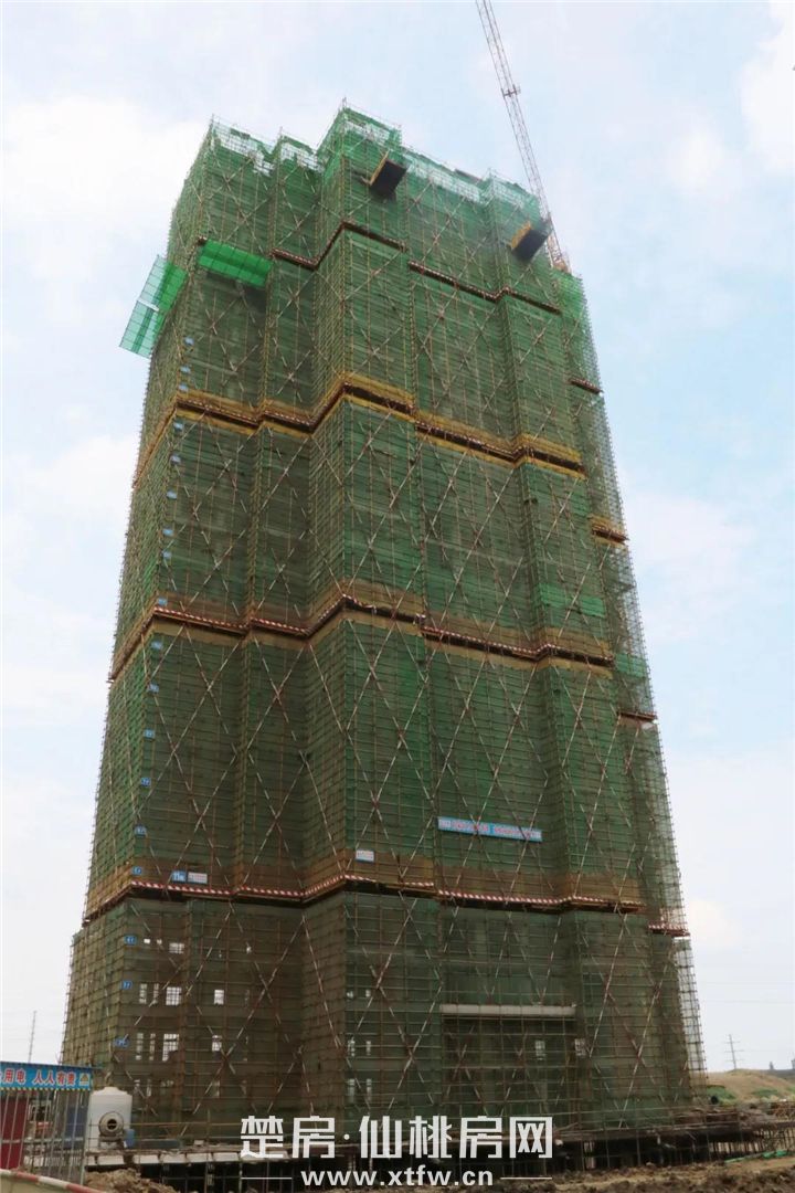 2020061217561311308wljd6p.jpg 10.jpg