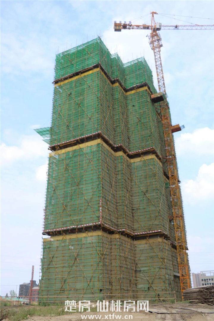 2020061217561961613bxmqyk.jpg 11.jpg