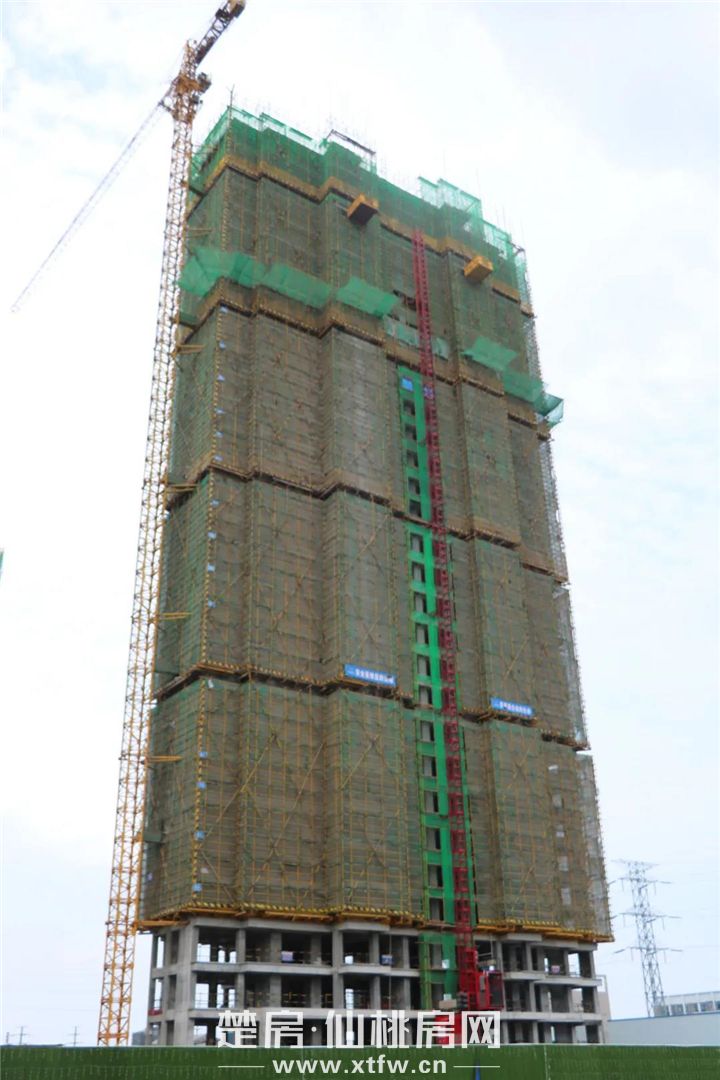 2020061217562845582zpsvsp.jpg 12.jpg