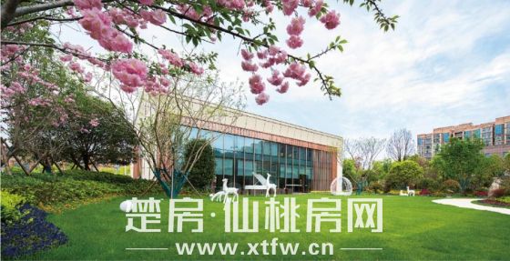 20200613222517410181qop5m.jpg 10.jpg