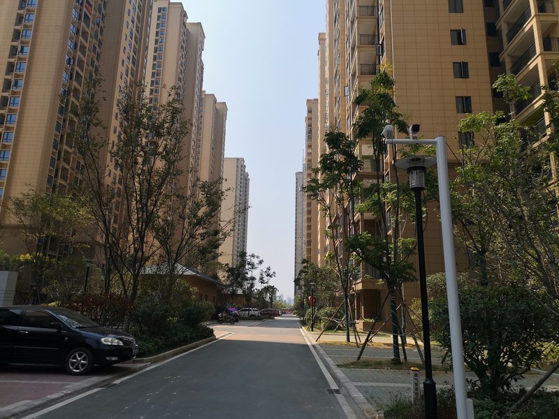 森林国际毛坯四房，楼层好，户型好，诚心出售