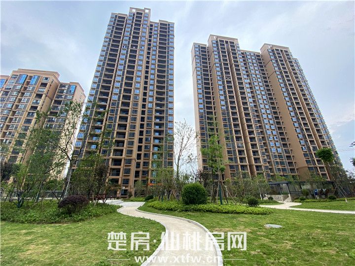 2020061517083915976xvph5q.jpg 微信图片_20200615162609.jpg