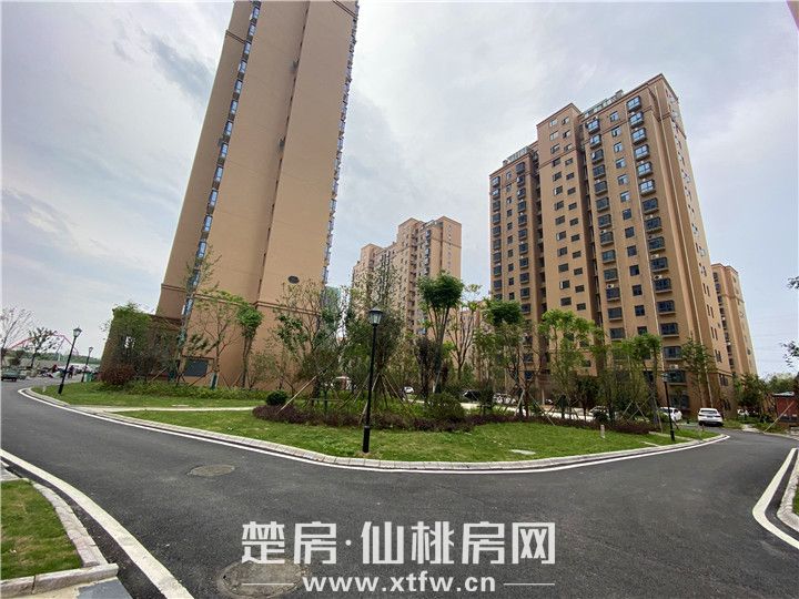 2020061517084676454xknenk.jpg 微信图片_20200615162615.jpg