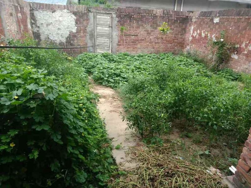 九中旁边毛坯私房整体400平带后花园前后宽敞好停车