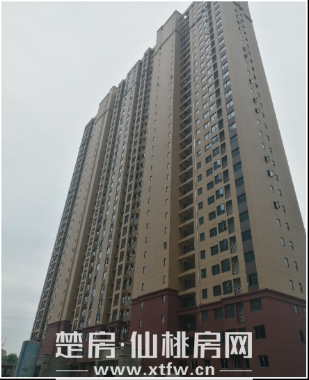 2020062909033481162a235rv.png 4.png