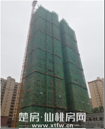 2020062909034238660mbytqd.png 5.png