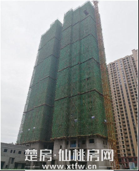 2020062909034965811p2ubqt.png 6.png