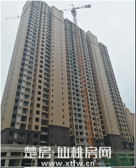 2020062909035549310osdhj6.png 7.png